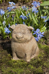 Photo of Campania Piglet - Exclusively Campania